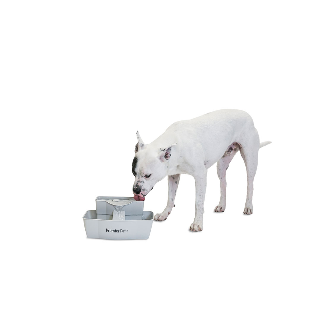 premier pets pet fountain