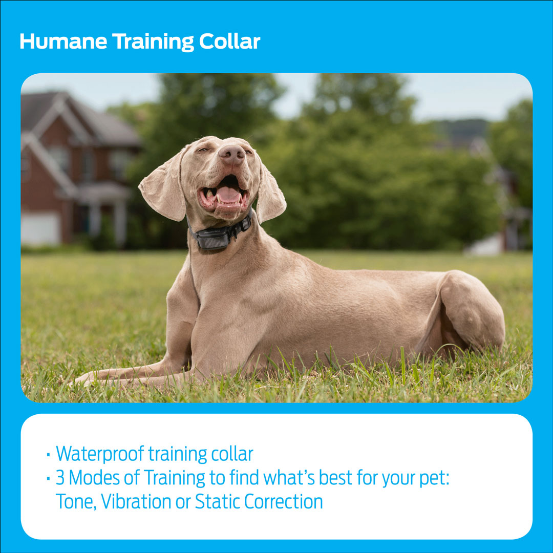 posture corrector small