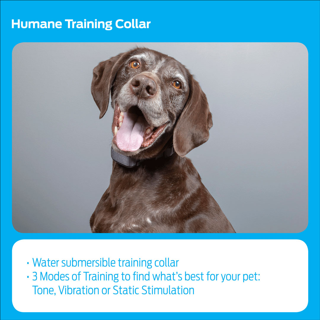 600 Yard Trainer Premier Pet