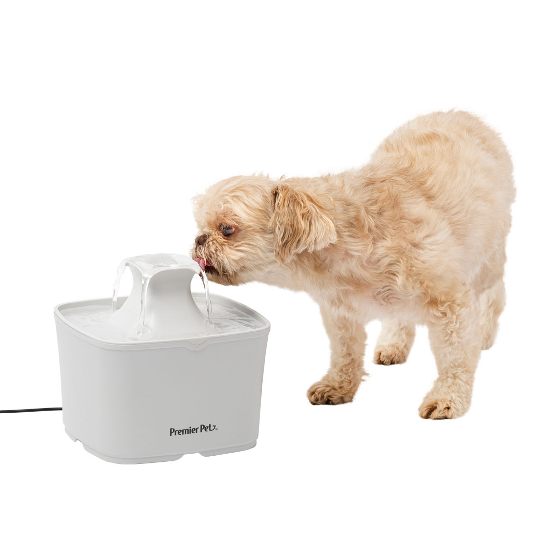 60 oz. Pet Fountain Premier Pet