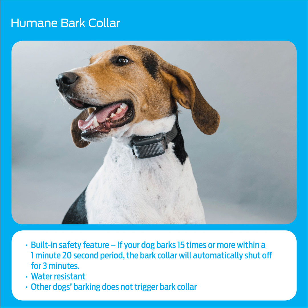 premier pet shock collar how to use