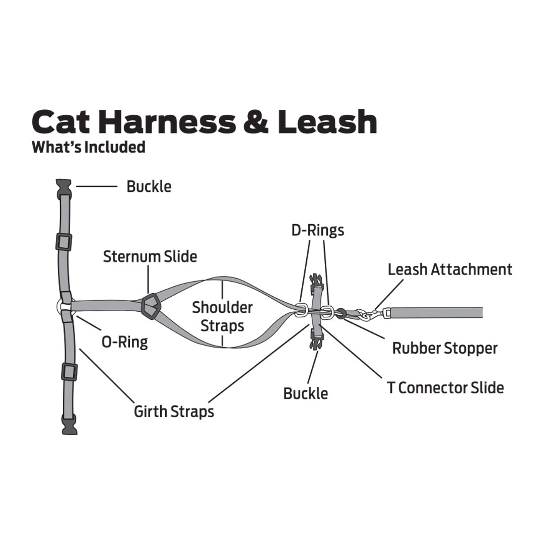 35 How To Put On A Cat Harness Diagram - Wiring Diagram Database
