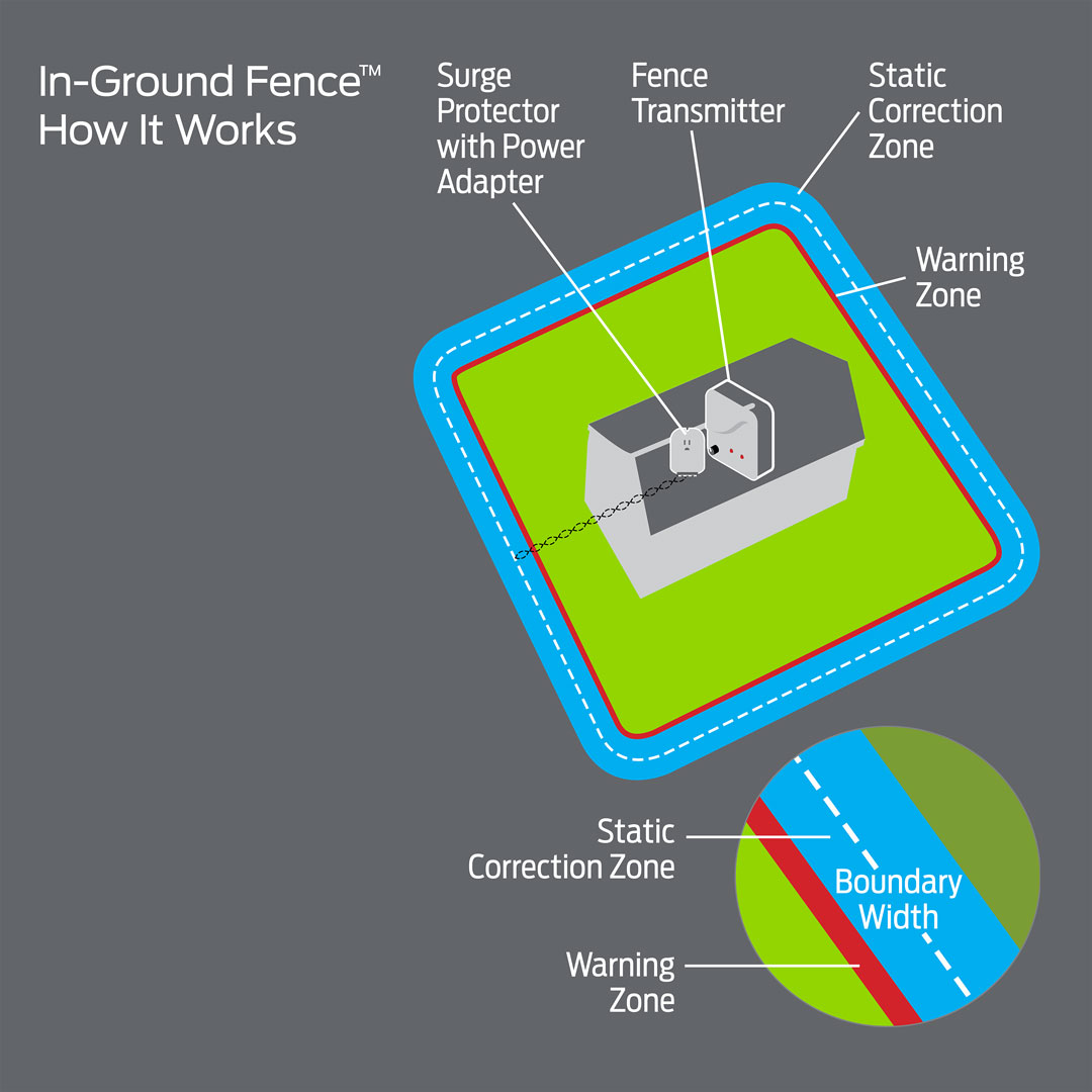 premier pet in ground fence collar