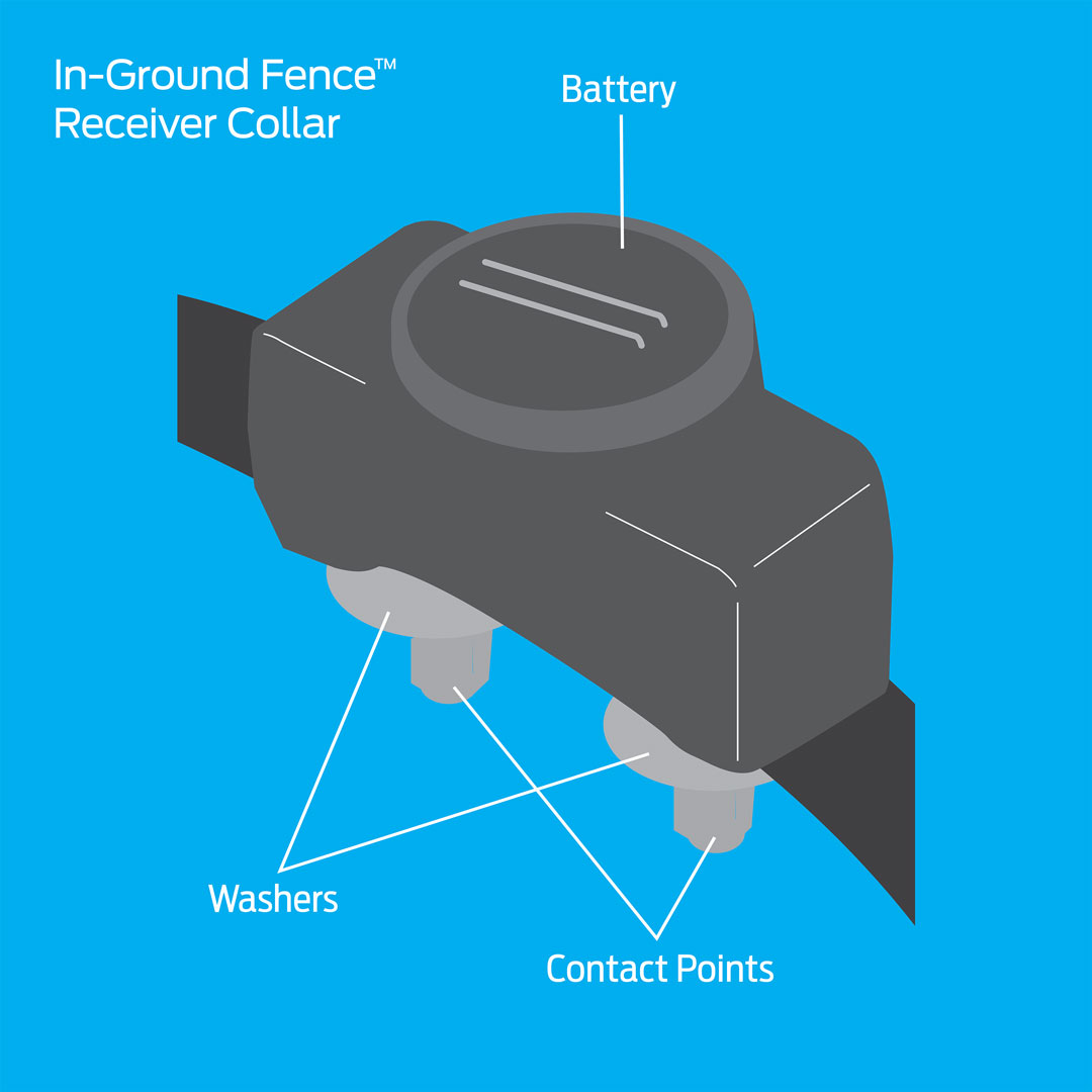 premier pet in ground fence collar