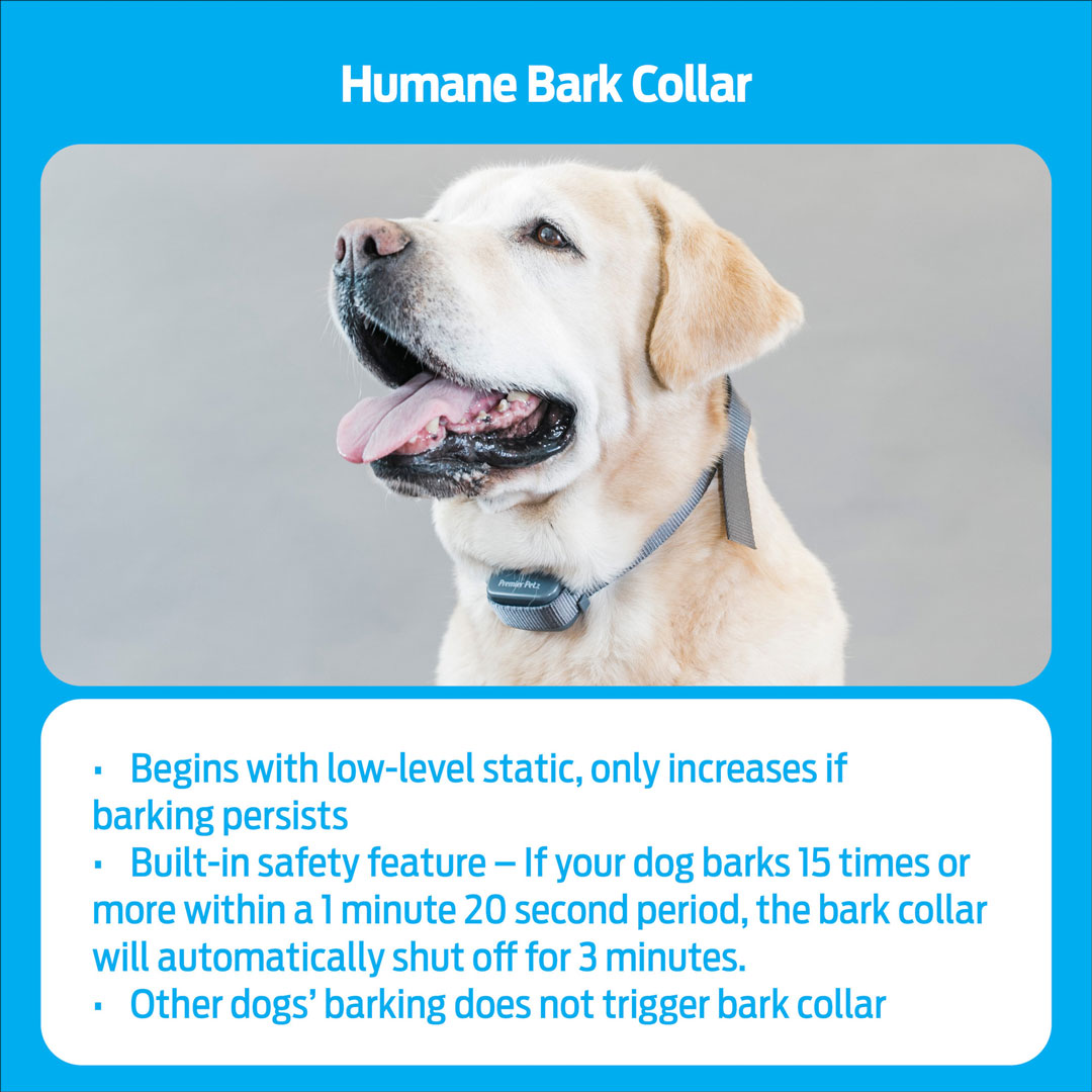 can bark collars be used on puppies