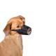 Dog Muzzle, Medium