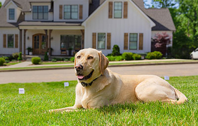 Graphic displaying how how in-ground fence system keeps dog in yard