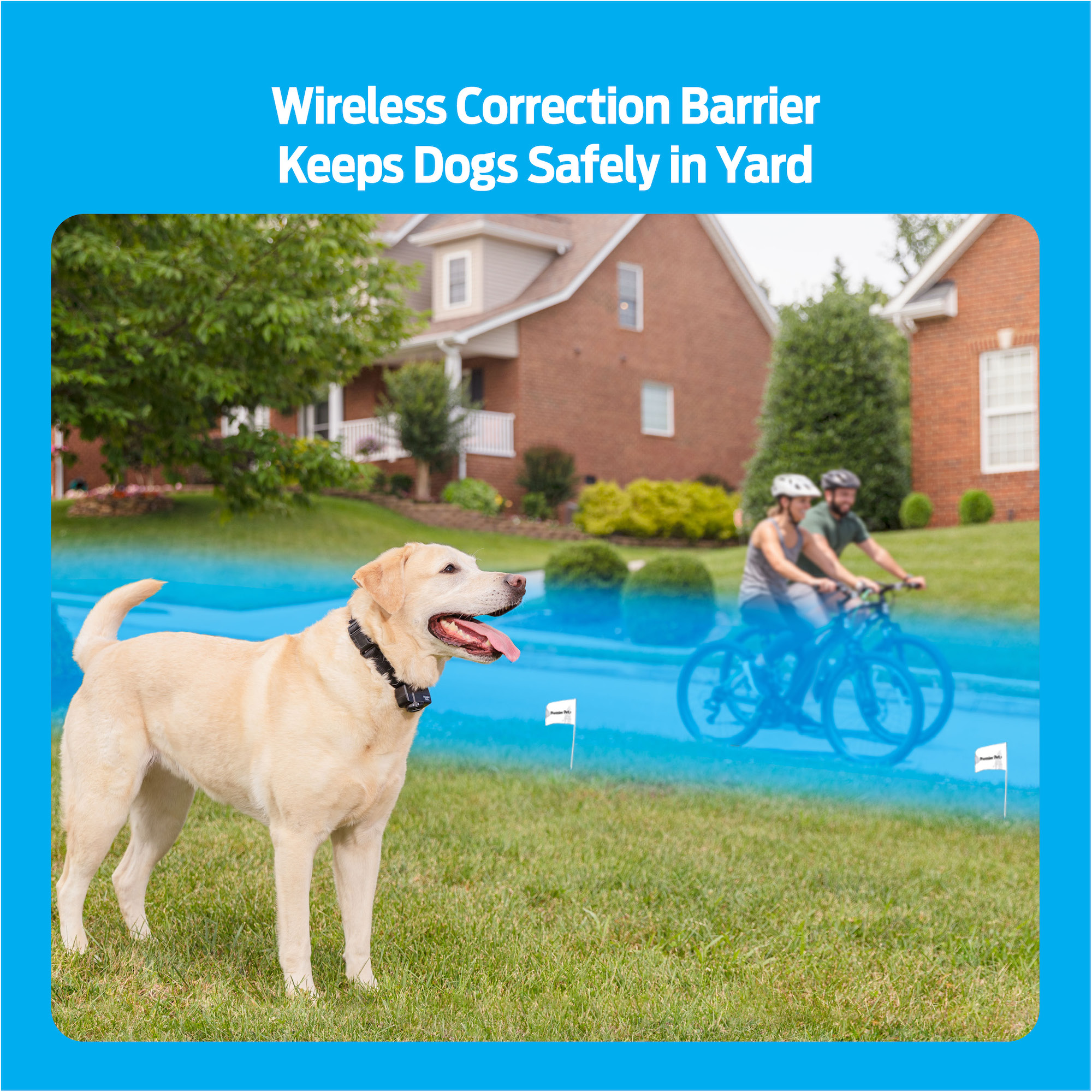 Wireless Fence Premier Pet